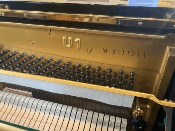 Yamaha U1M - Image 5