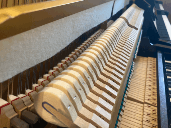 Yamaha U1M - Image 7