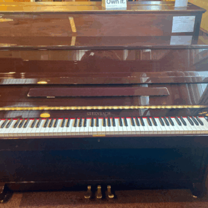 Steinbach 108