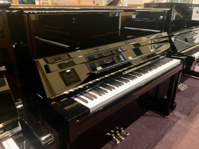 C Bechstein 124 Academy - Image 3