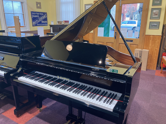 Kawai GL-20 - Image 2