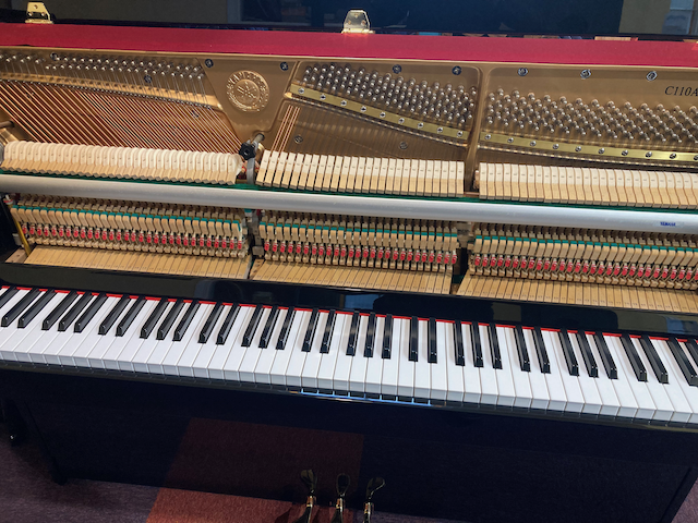 Yamaha C110A - Image 6