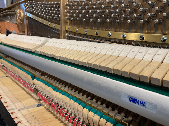 Yamaha C110A - Image 7